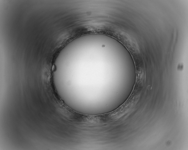 X0000103951012200809191436