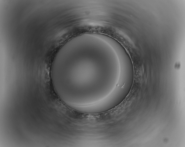 X0000103951013200809191436