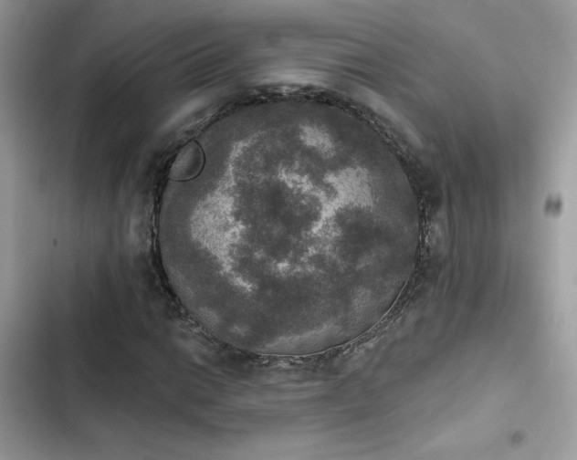 X0000103951014200809191436