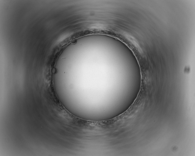 X0000103951015200809191436