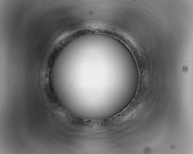 X0000103951016200809191436