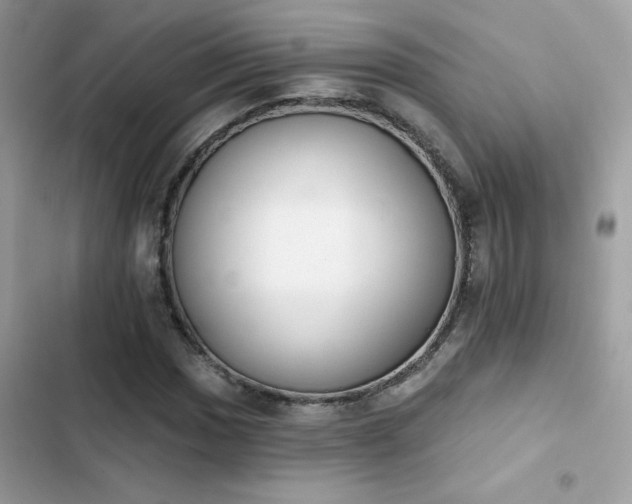 X0000103951017200809191436