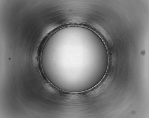 X0000103951018200809191436