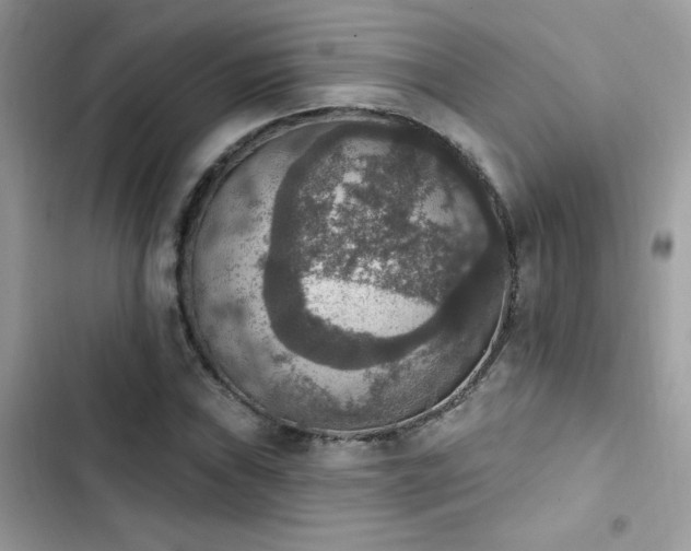 X0000103951019200809191436
