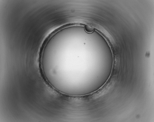 X0000103951020200809191436