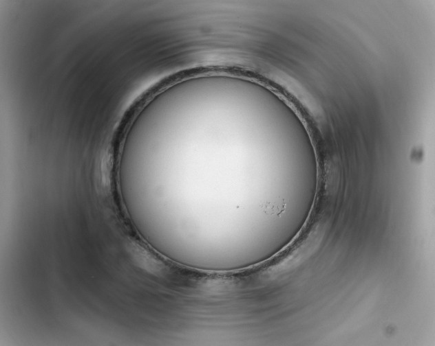 X0000103951021200809191436
