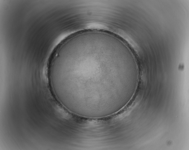 X0000103951022200809191436