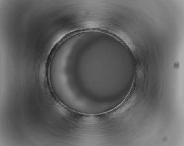 X0000103951023200809191436