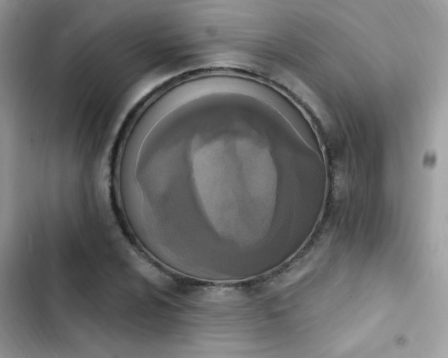 X0000103951024200809191436