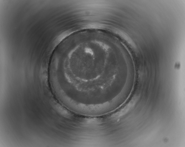 X0000103951025200809191436