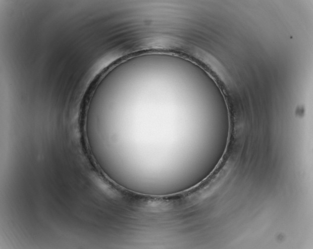 X0000103951026200809191436