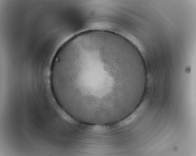 X0000103951029200809191436