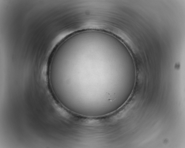 X0000103951030200809191436
