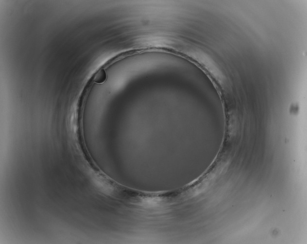 X0000103951031200809191436