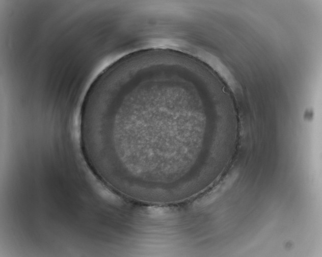 X0000103951032200809191436