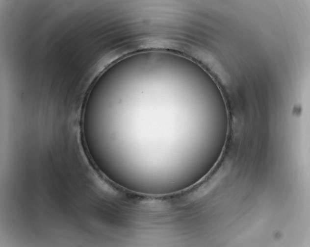 X0000103951033200809191436