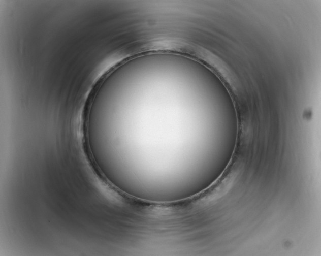 X0000103951034200809191436