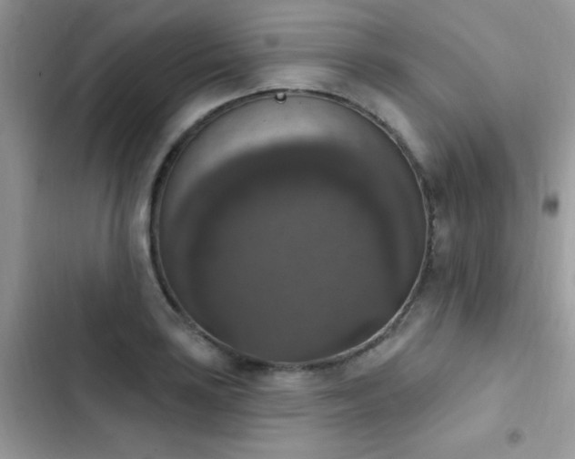 X0000103951035200809191436