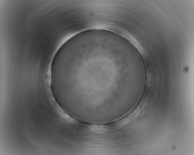 X0000103951036200809191436