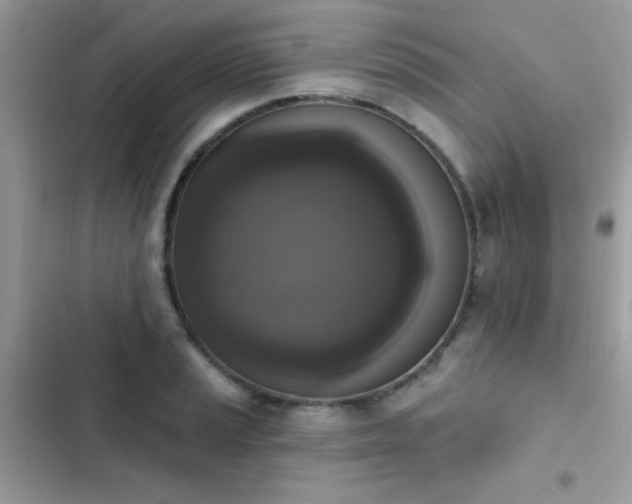 X0000103951037200809191436