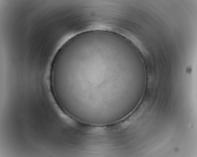X0000103951038200809191436