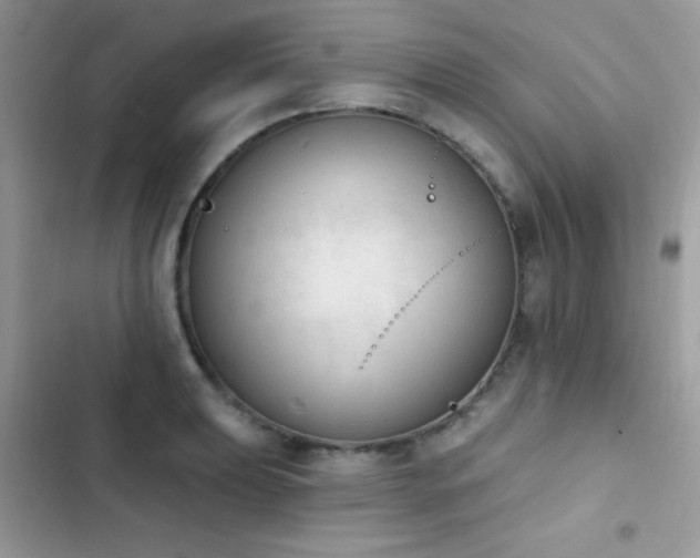 X0000103951039200809191436