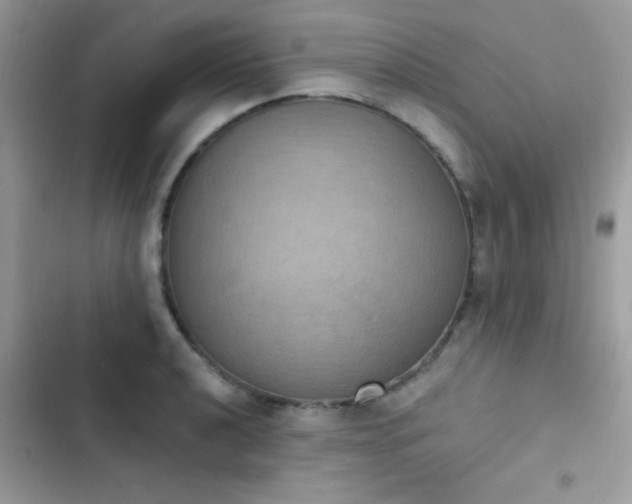 X0000103951040200809191436