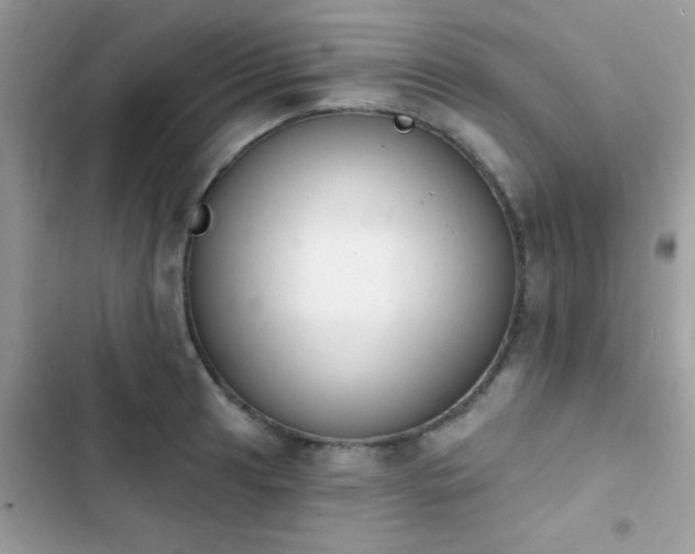 X0000103951041200809191436