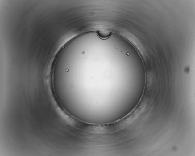 X0000103951042200809191436