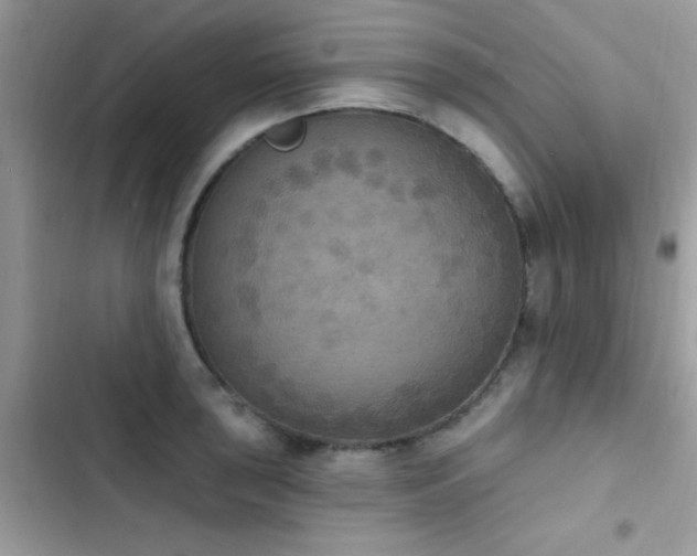 X0000103951043200809191436