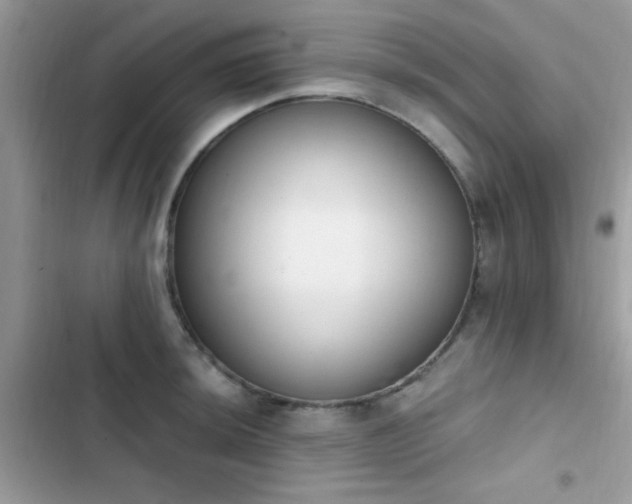 X0000103951044200809191436