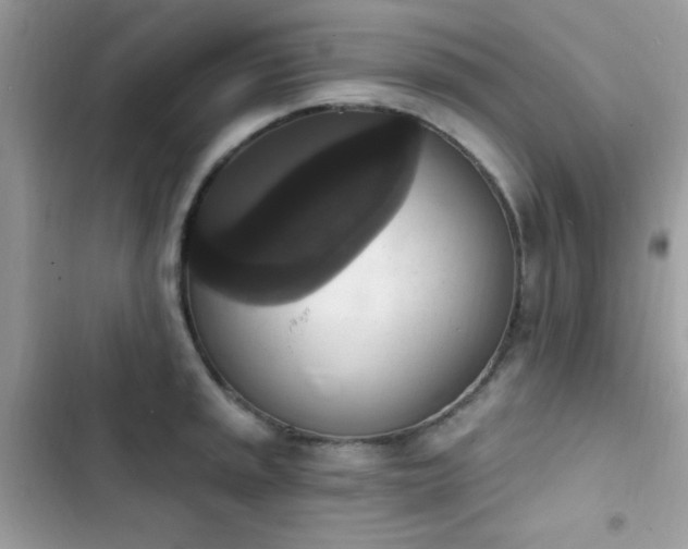 X0000103951045200809191436