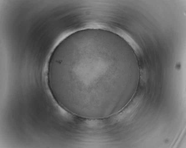 X0000103951046200809191436