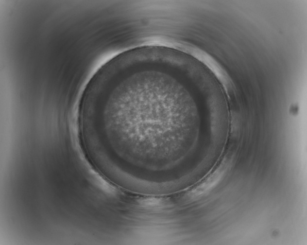 X0000103951048200809191436