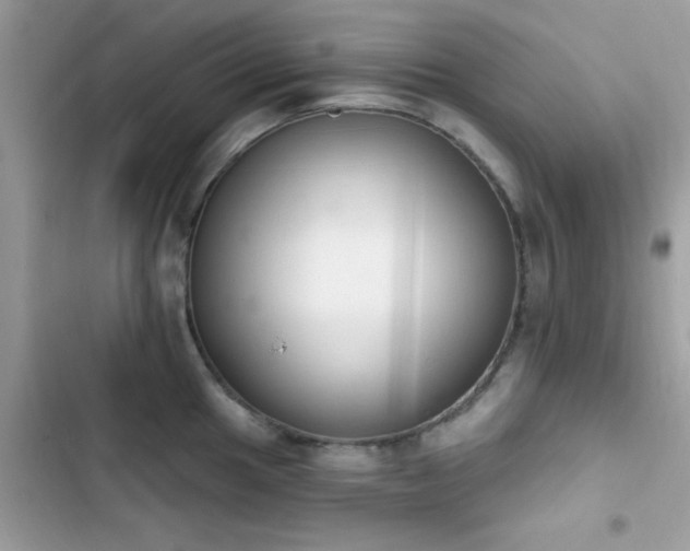 X0000103951049200809191436