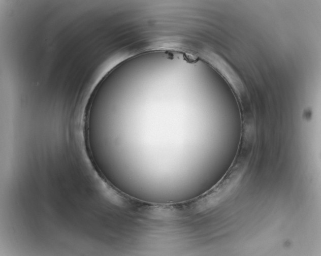 X0000103951050200809191436