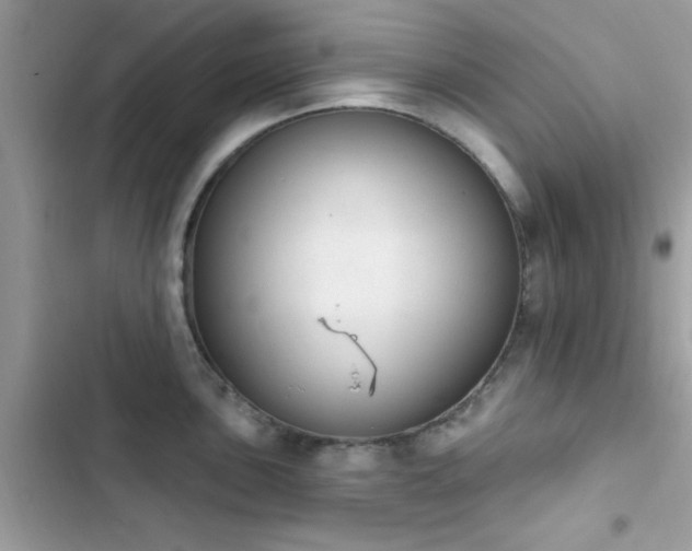 X0000103951051200809191436