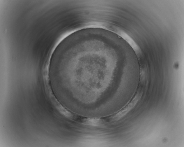 X0000103951052200809191436