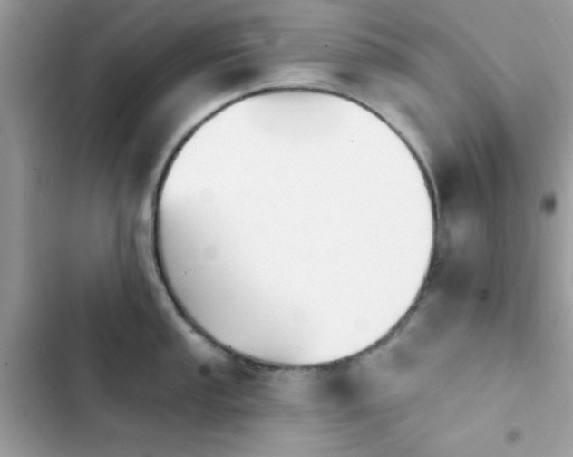 X0000103951053200809191436