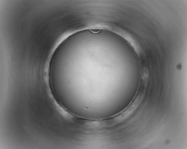 X0000103951054200809191436