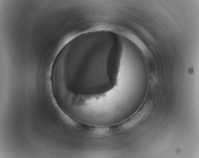 X0000103951055200809191436