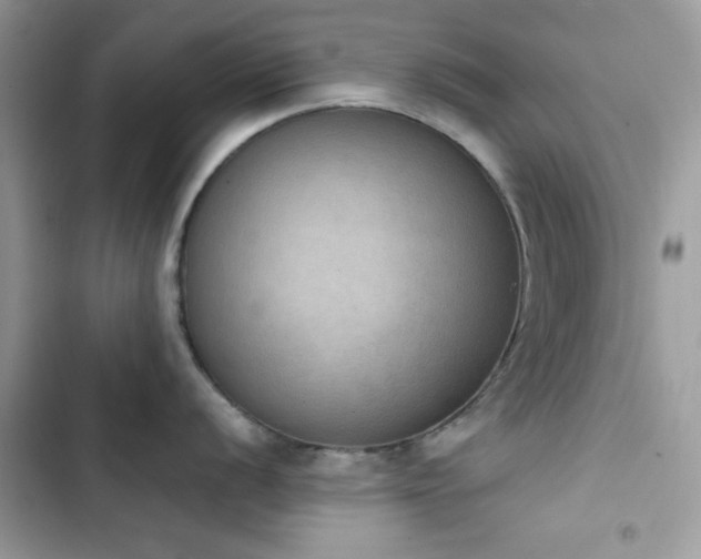 X0000103951056200809191436