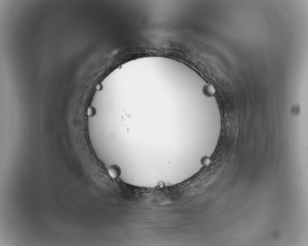 X0000103951057200809191436