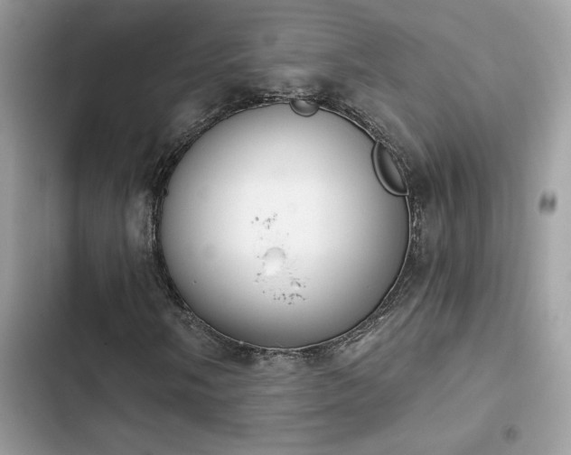 X0000103951058200809191435