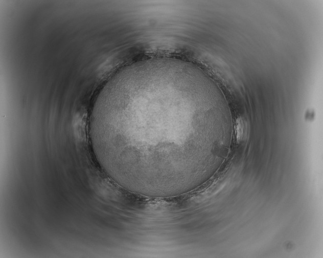X0000103951059200809191435