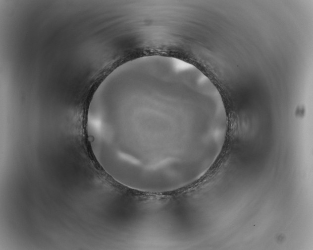 X0000103951060200809191435