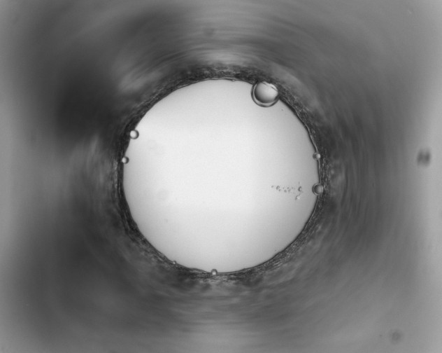 X0000103951061200809191435