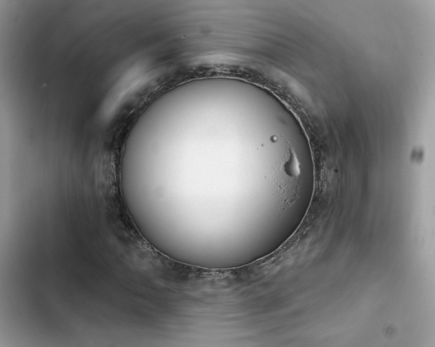 X0000103951062200809191435