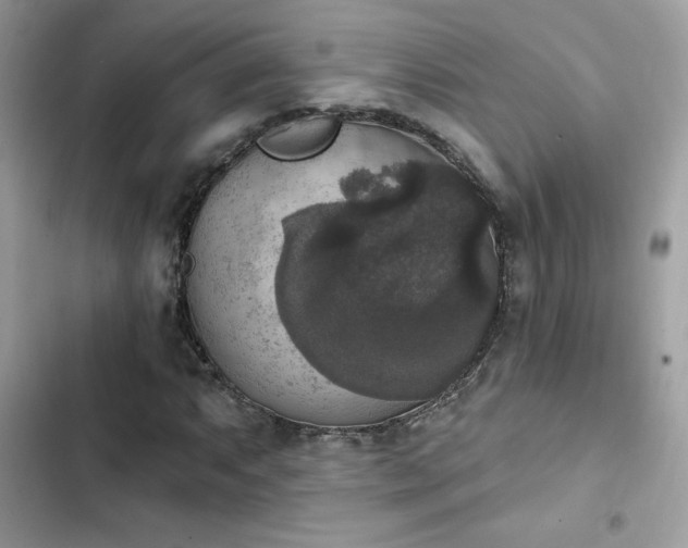 X0000103951063200809191435