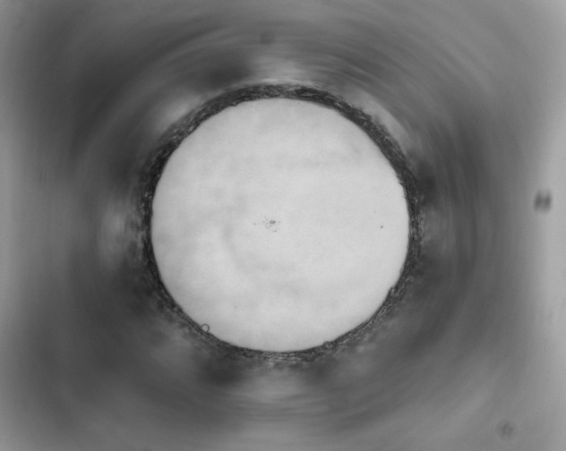 X0000103951064200809191435